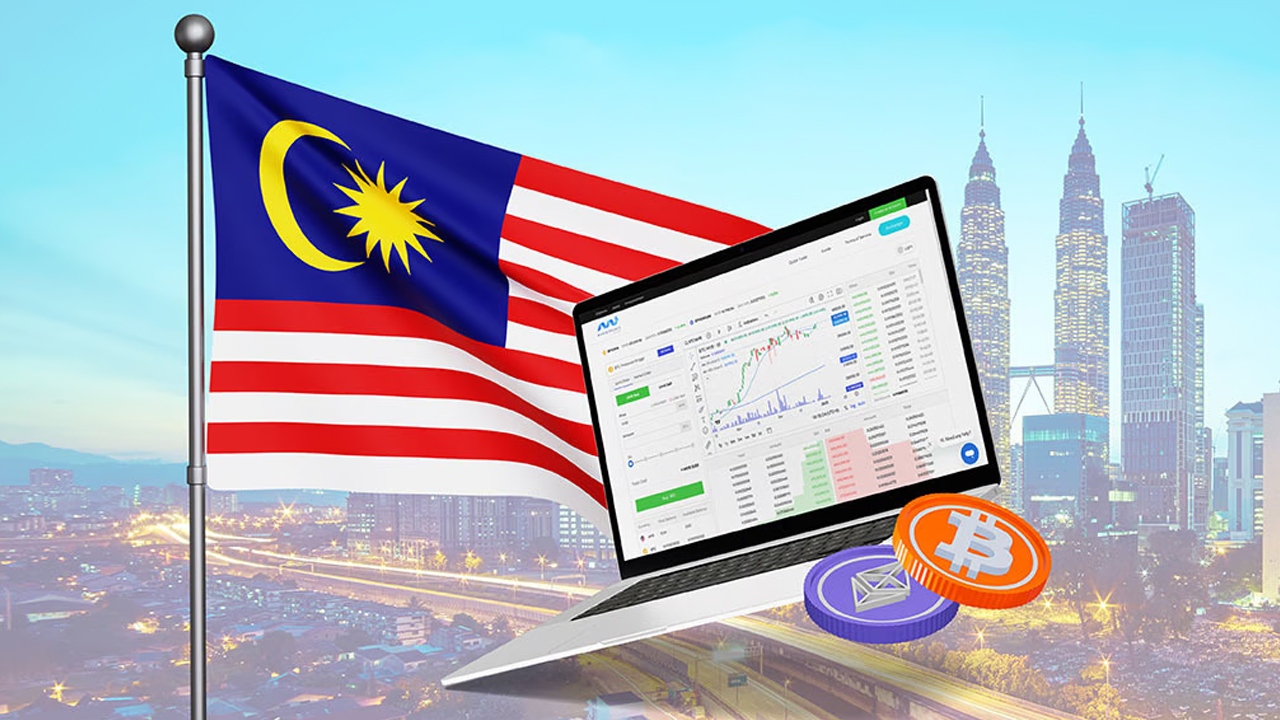 Professional Market Analysis